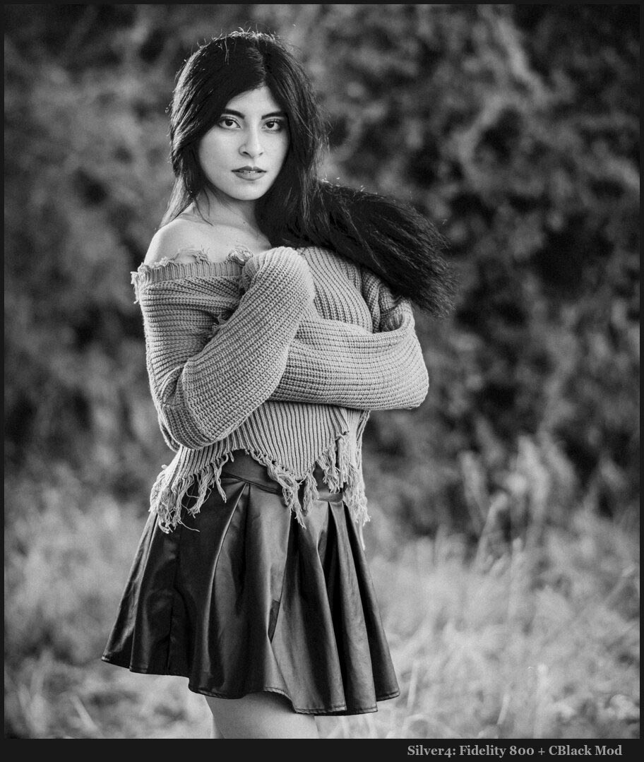 Black and White Presets 9 Free Capture One Styles / LR Presets